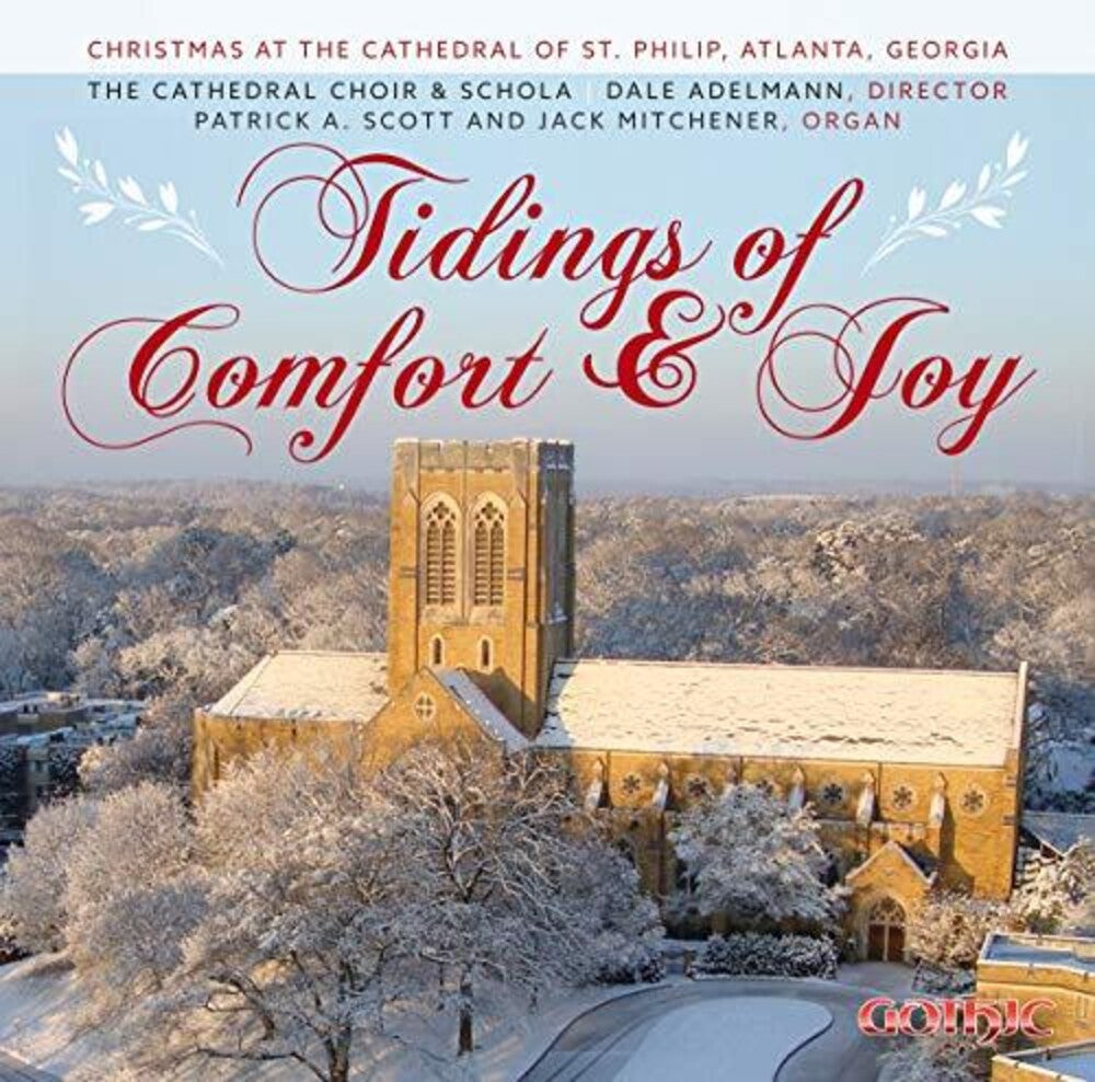 the album cover for Tidings Of Comfort & Joy / Various - Tidings of Comfort & Joy