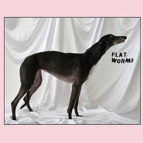 Flat Worms [LP] Vinyl Record