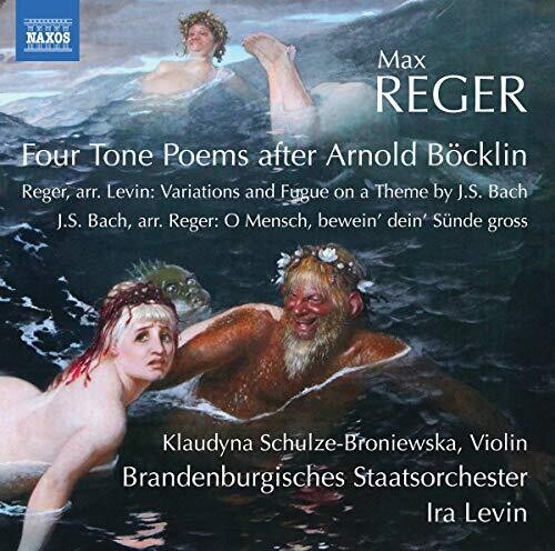 Reger / Schulze-broniewska / Levin - Orchestral Works - Music CD
