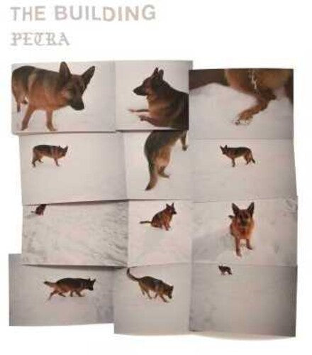 The Building - Petra Vinyl Record