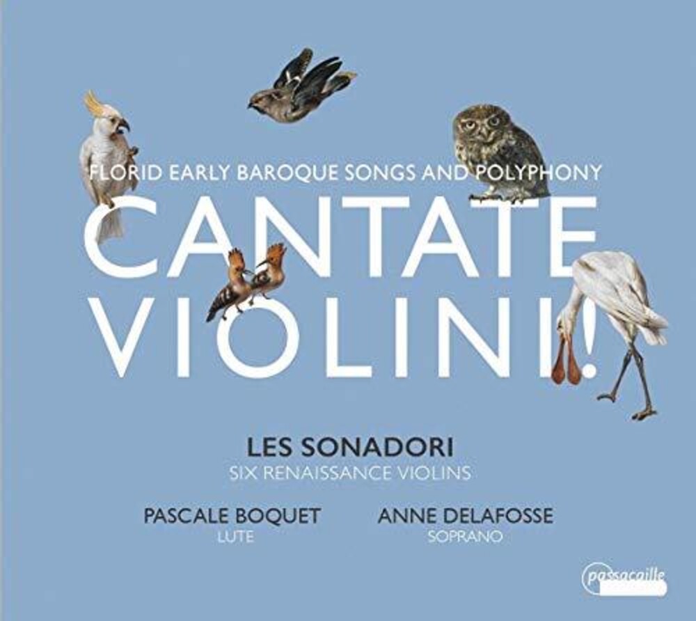 the album cover for Cantate Violini / Various - Cantate Violini