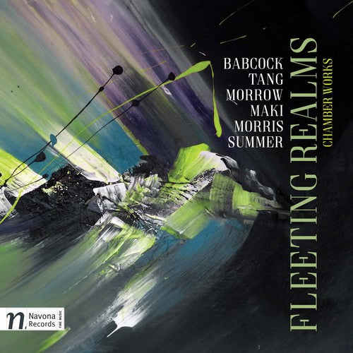Babcock / Masek / Fry - Fleeting Realms - Music CD