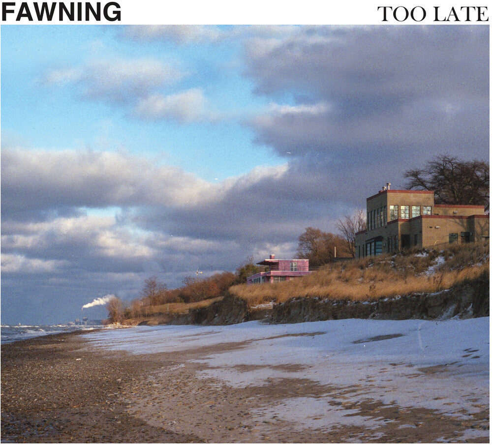 Too Late (Indie Exclusive) [Colored Vinyl] [180 Gram] (Wht) Vinyl Record