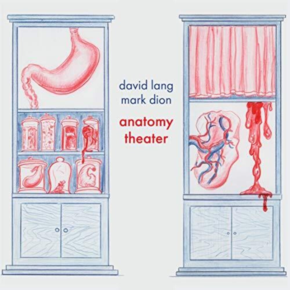 the album cover for Lang / Kudish / Rountree - Anatomy Theater