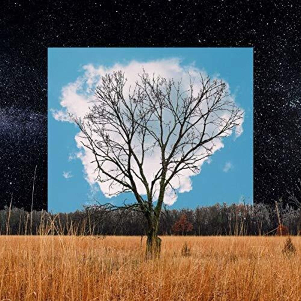 the album cover for Fink - Bloom Innocent