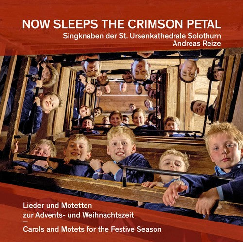 Antognini - Now Sleeps The Crimson Petal - Music CD