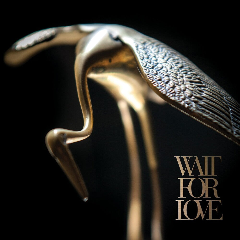 Wait For Love [Colored Vinyl] Vinyl Record