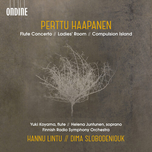 Haapanen / Koyama / Slobodeniouk - Flute Concerto - Music CD