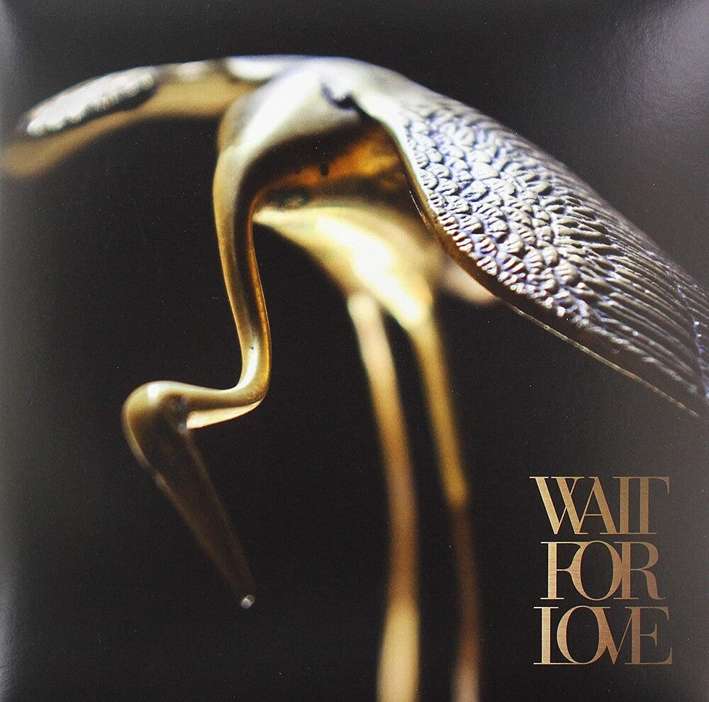 Wait For Love [LP] Vinyl Record