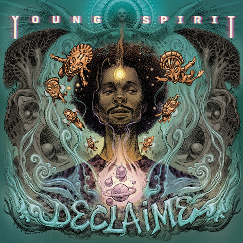 Declaime - Young Spirit Vinyl Record