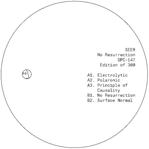 Seer - No Resurrection - Vinyl Record