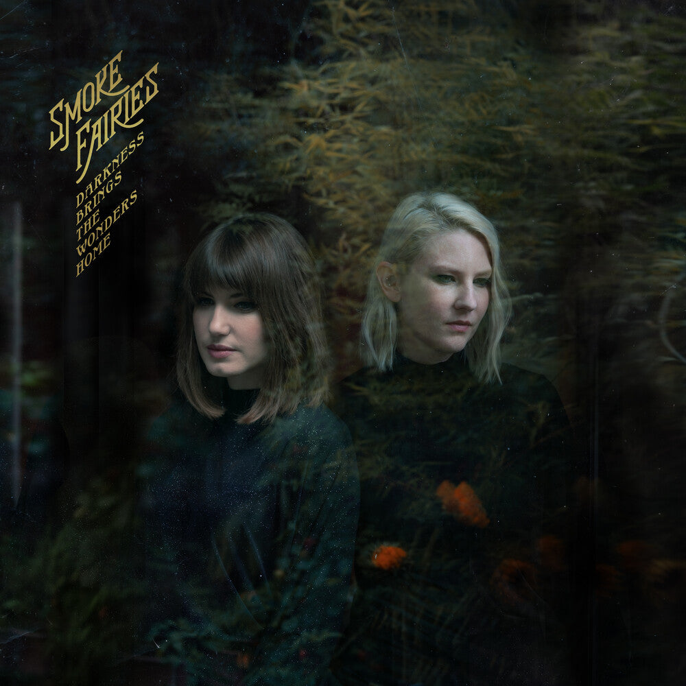 Darkness Brings The Wonders Home (Blk) [180 Gram] Vinyl Record
