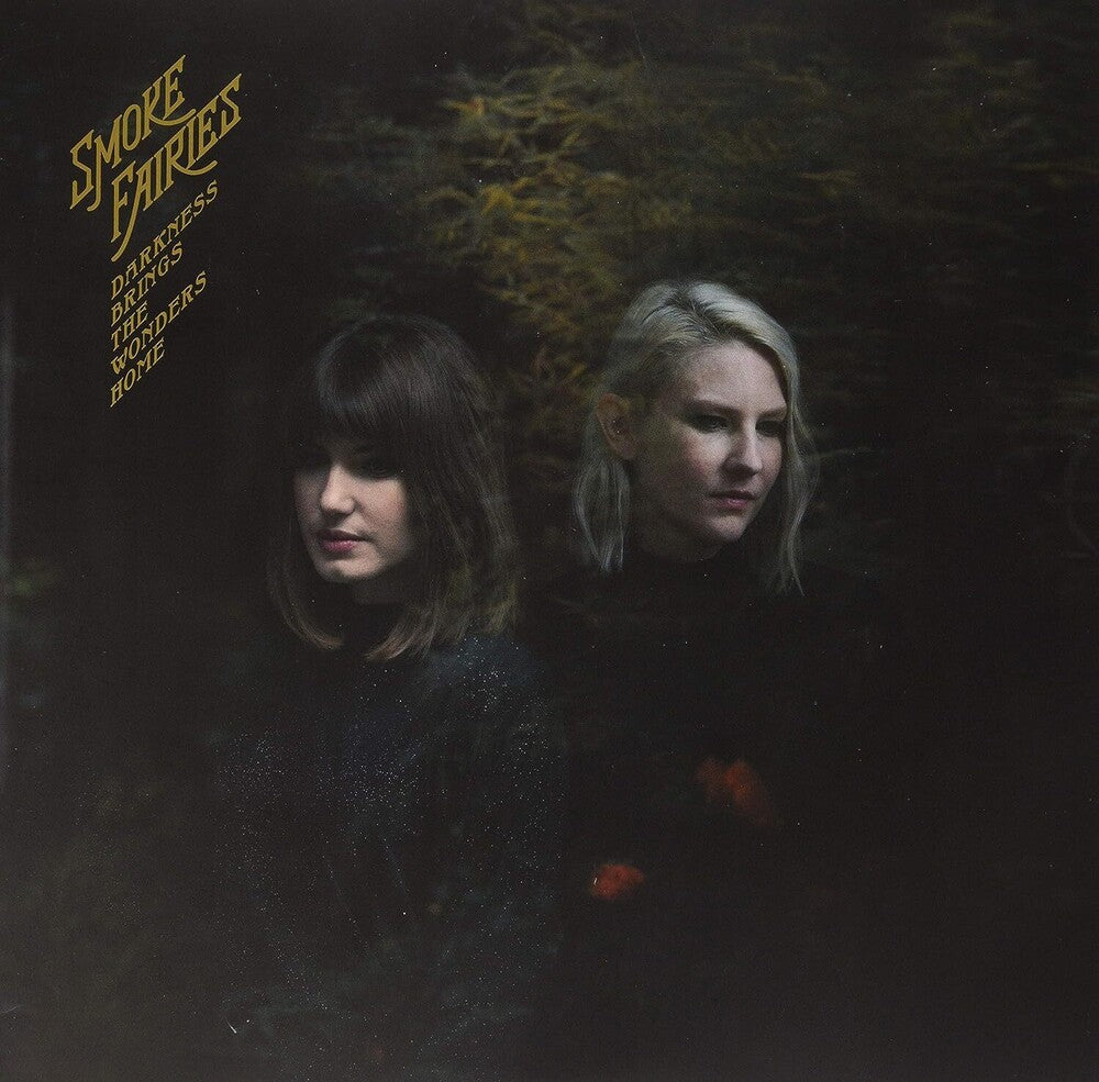 Darkness Brings The Wonders Home (Indie Exclusive) [LP] Vinyl Record