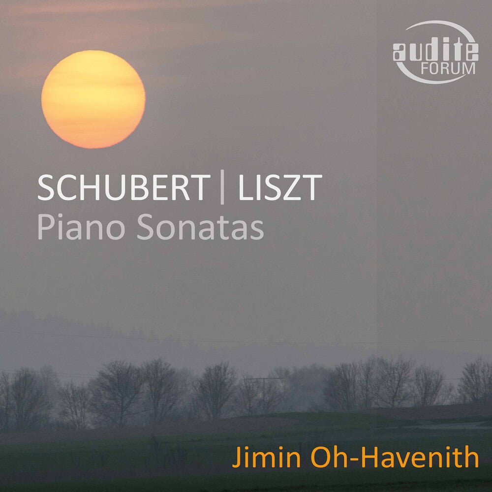 the album cover for Liszt / Oh-Havenith - Piano Sonatas