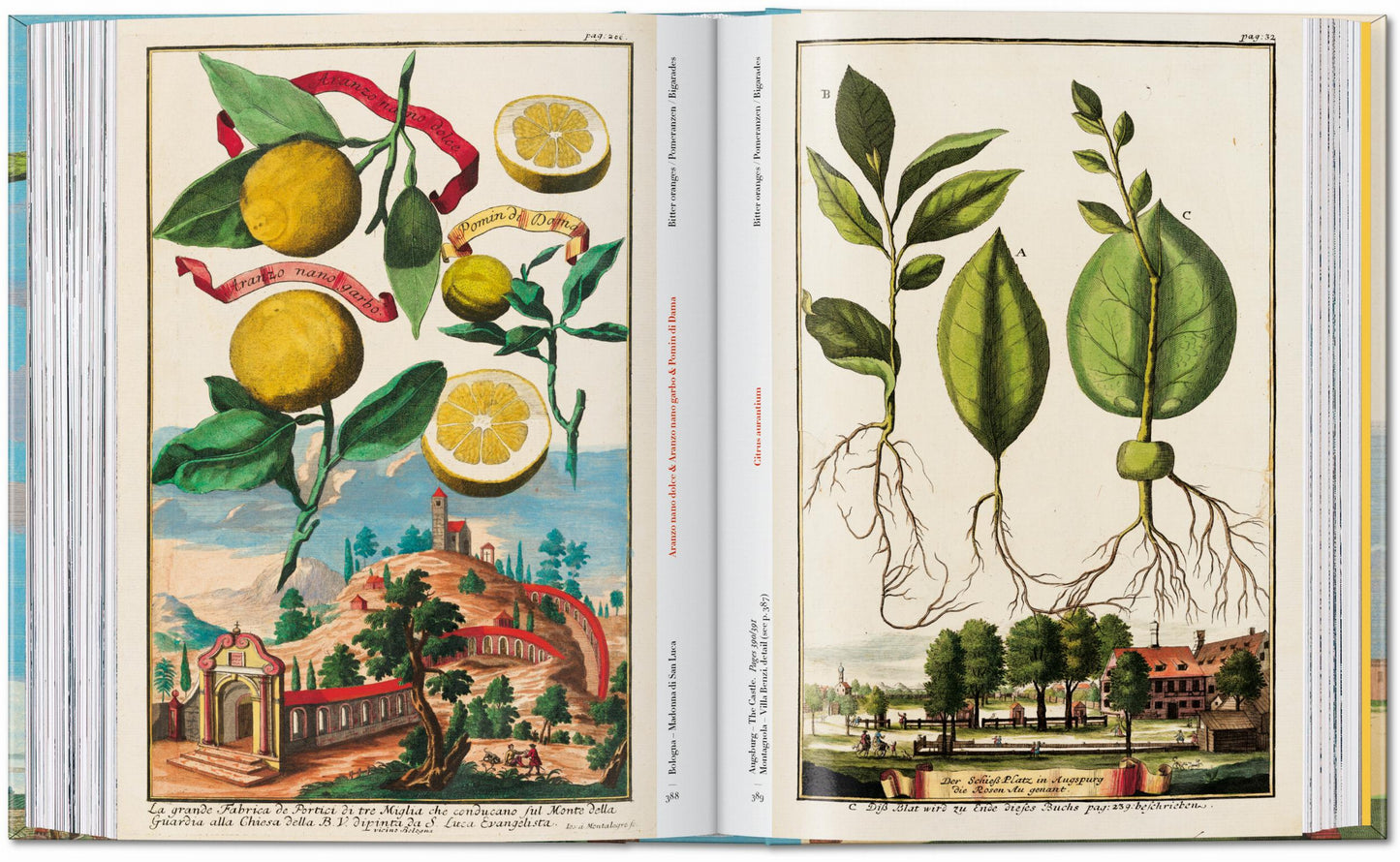 J. C. Volkamer. The Book of Citrus Fruits. 45th Ed. (German, French, English) Book