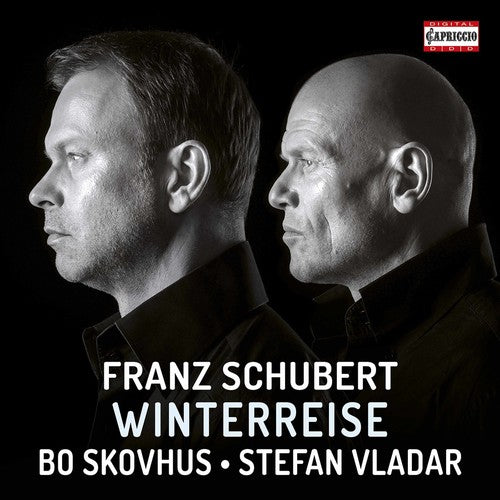 the album cover for Schubert / Skovhus / Vladar - Winterreise