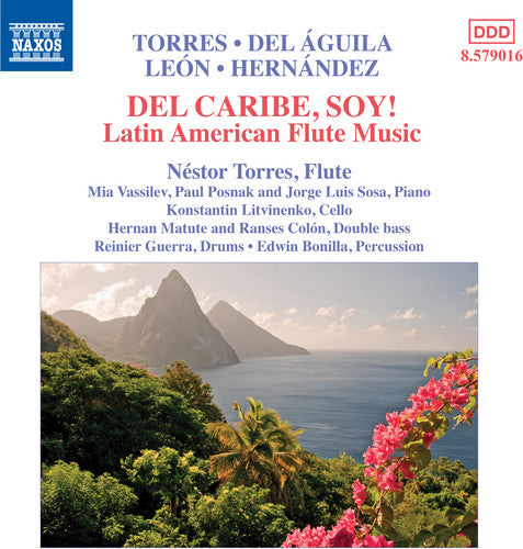 the album cover for Nestor Torres - Latin American Flute Music