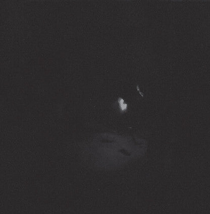 Paysage D'Hiver - Nacht Vinyl Record