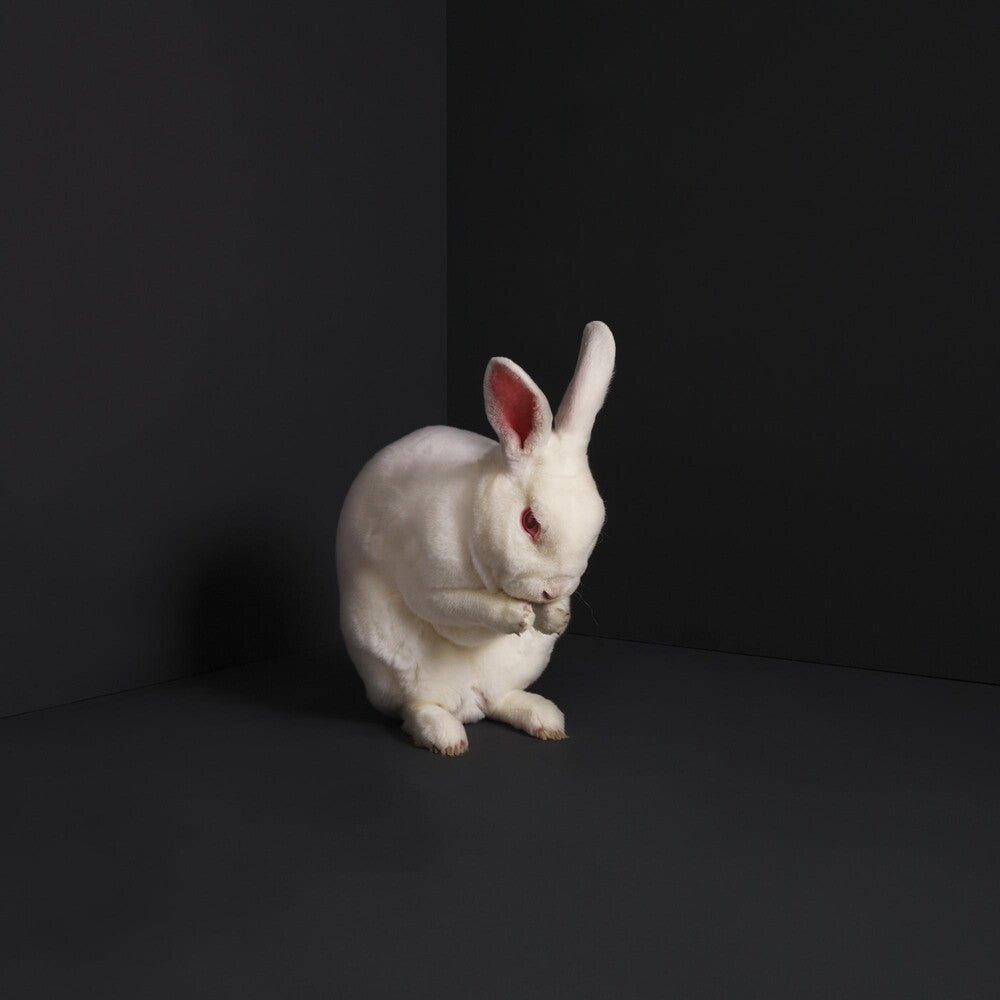 Rabbits [LP] Vinyl Record