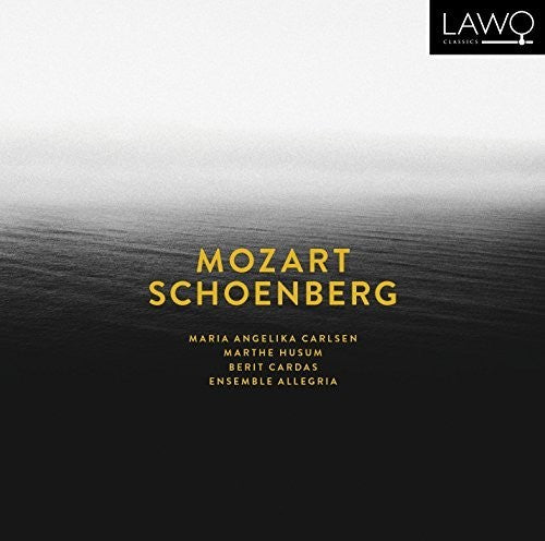 the album cover for Ensemble Allegria - Sinfonia Concertante