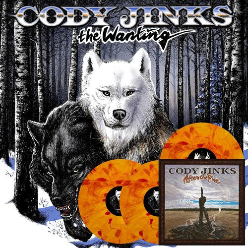 Cody Jinks - Wanting After The Fire Vinyl Record