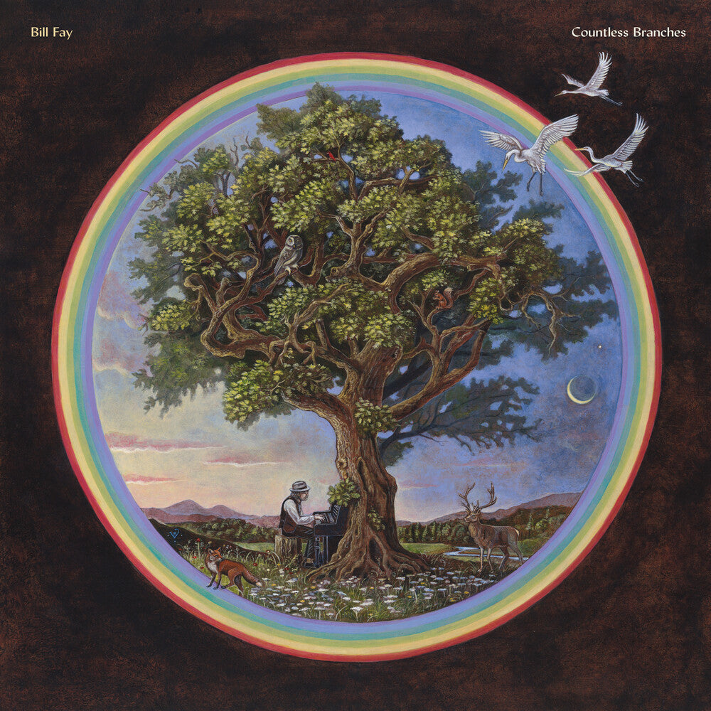 Bill Fay - Countless Branches [Deluxe 2LP] Vinyl Record