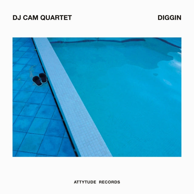 Dj Cam - Diggin (Blue LP Vinyl) Vinyl Record
