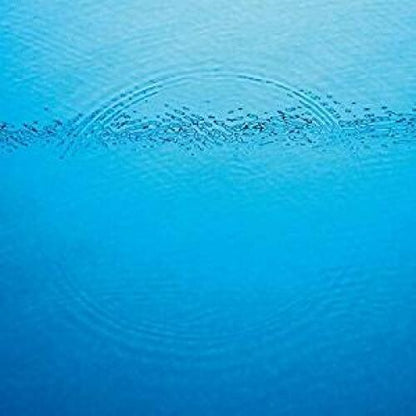 Caribou - Suddenly Vinyl Record