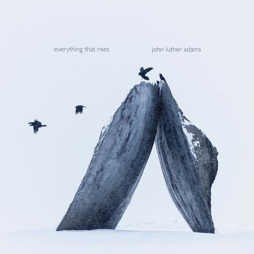 Adams / Jack Quartets - Everything That Rises - Music CD
