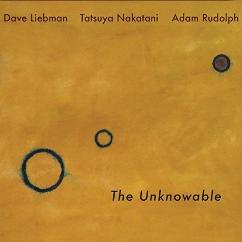 Dave Liebman - The Unknowable Vinyl Record