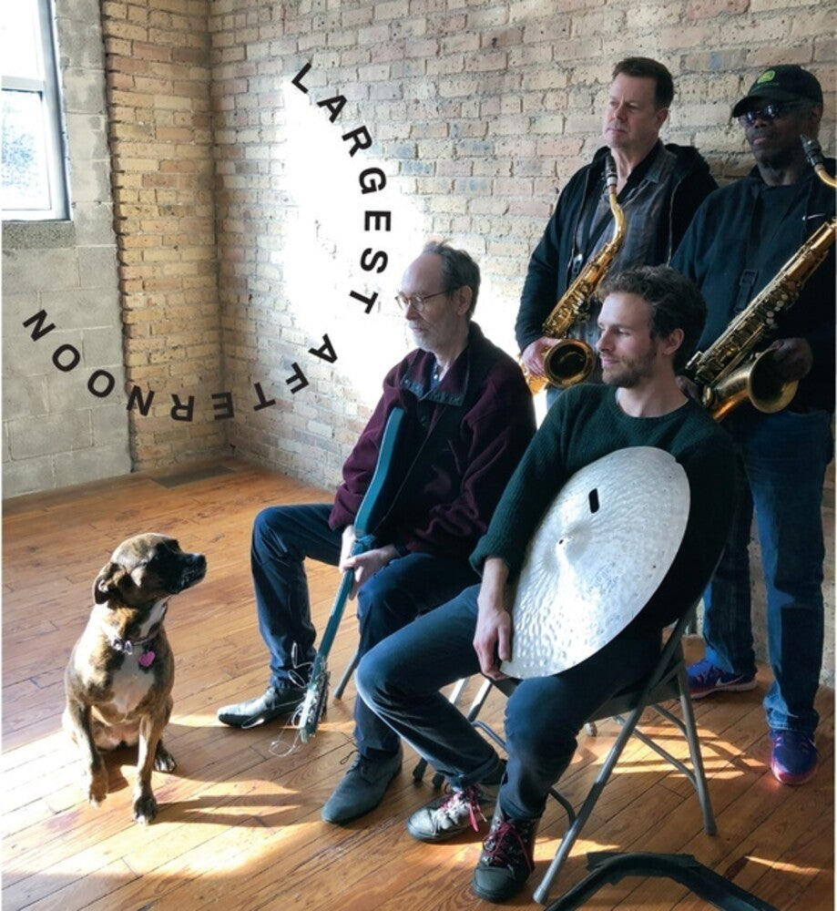 the album cover for Arto Lindsay / Mcphee,Joe / Vandermark,Ken - Largest Afternoon