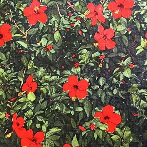 Denatured [LP] Vinyl Record