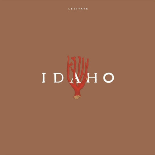 Idaho - Levitate - LP Vinyl
