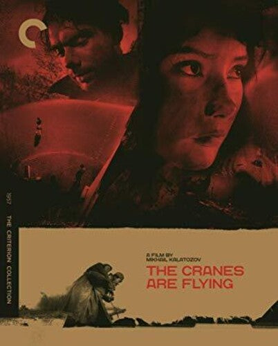 Criterion Collection - Cranes Are Flying, The Bd - Blu-ray