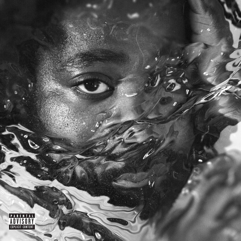 Surfacing [LP] Vinyl Record