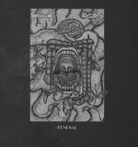 Renewal (Split) [LP] Vinyl Record