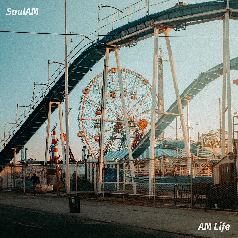 AM Life [LP] Vinyl Record