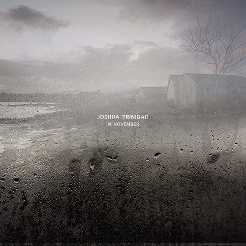 In November [180 Gram] Vinyl Record