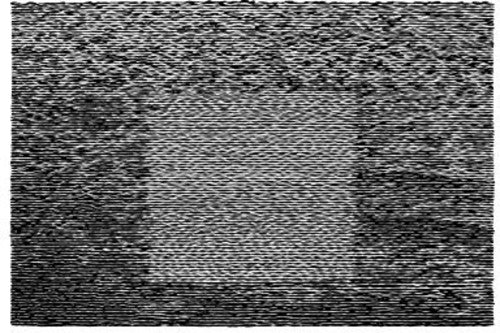 Grid Of Points Music CD