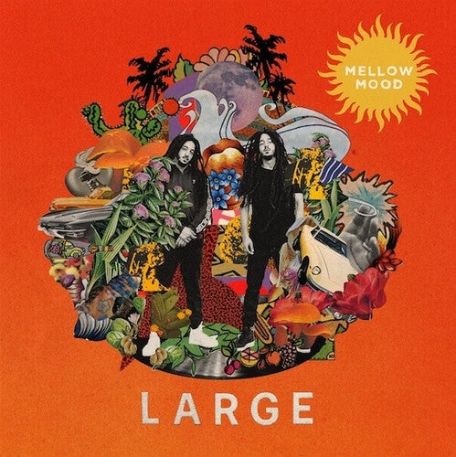 Large [LP] Vinyl Record