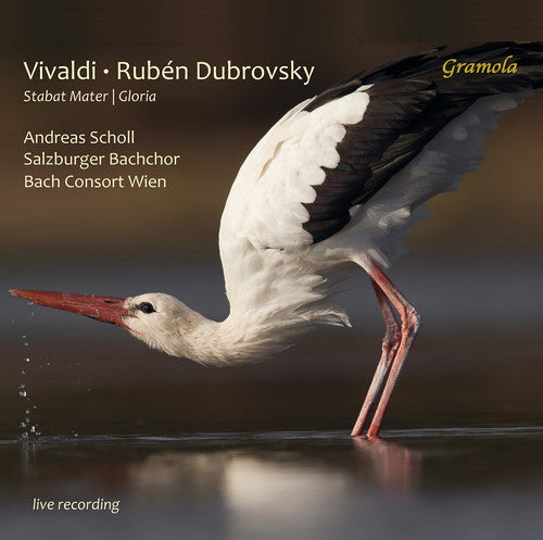 Vivaldi / Herfurtner / Bachchor - Stabat Mater / Gloria - Music CD