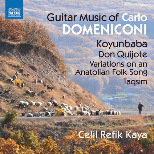 Domeniconi / Kaya - Guitar Music Of Carlo Domeniconi - Music CD