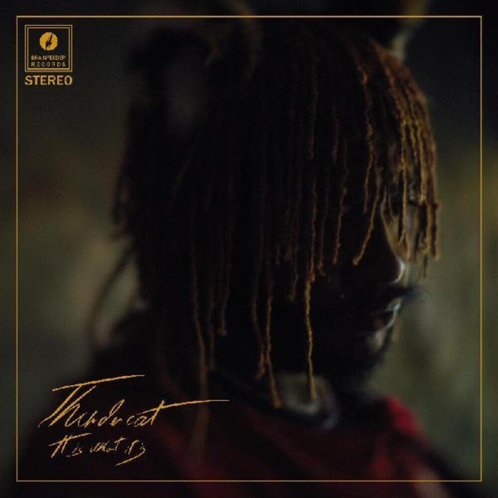 Thundercat - It Is What It Is [Deluxe Clear LP] Vinyl Record