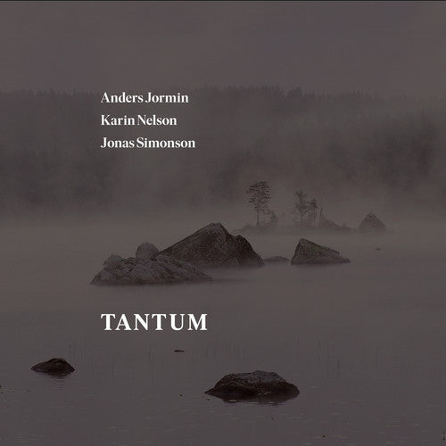Bach,j.s. / Jormin / Simonson - Tantum - Music CD