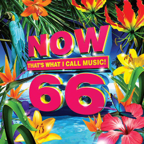 Now 66 / Various - Now 66 / Various - Music CD