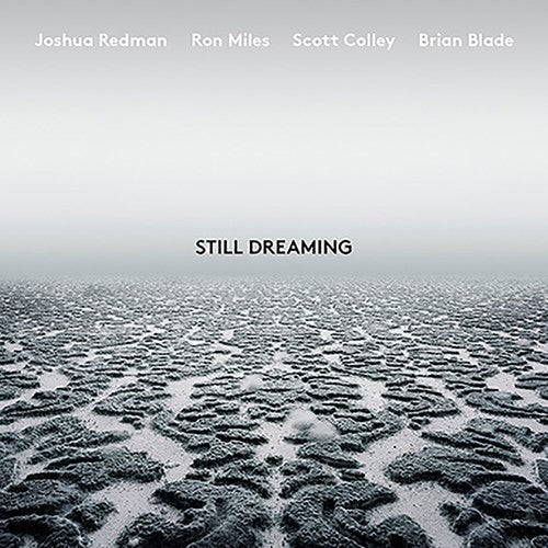Joshua Redman - Still Dreaming Vinyl Record