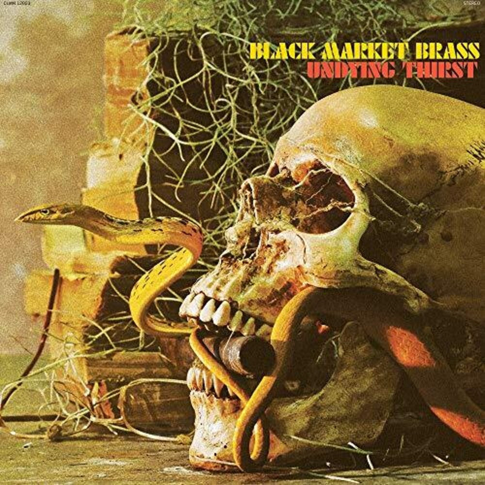 the album cover for Black Market Brass - Undying Thirst