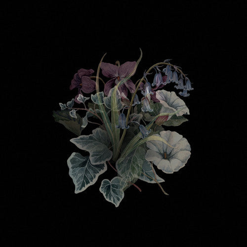Wildflowers (Blk) (Gate) [Limited Edition] [180 Gram] Vinyl Record