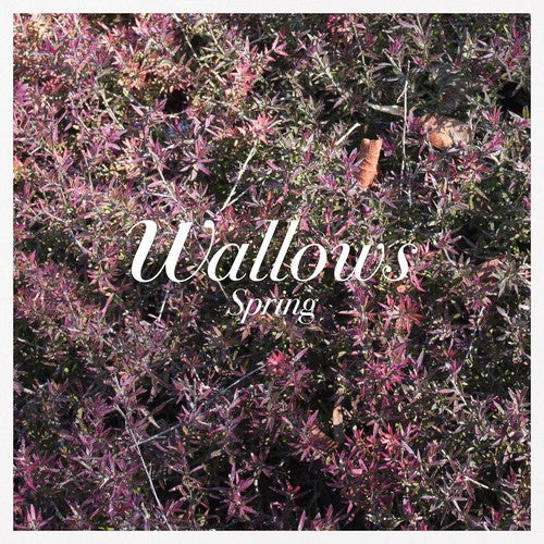 Spring EP [Pink & Green Vinyl] Vinyl Record