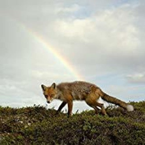 the album cover for Buck Meek - Buck Meek